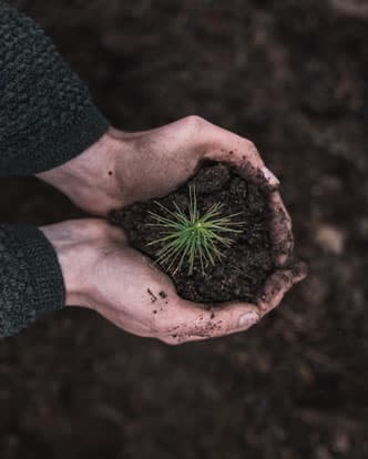 planting-img