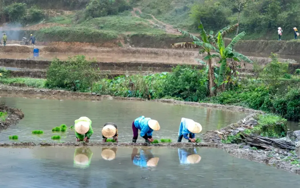 people planting-img