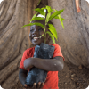 Senegal_Reforestation_Project Img